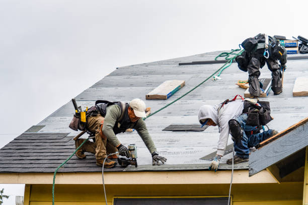 Professional Gutter Installation technician working in Lady Lake, FL